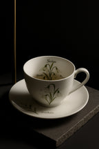 Snowdrop — Renewal & Grace